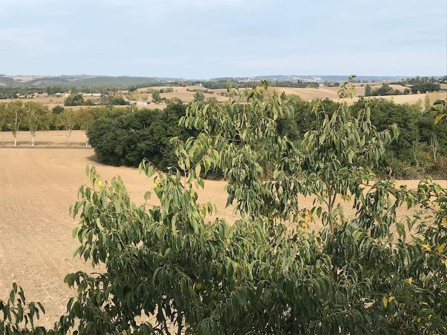 Appartement Neuf & Ecologique A La Campagne Marzens ภายนอก รูปภาพ