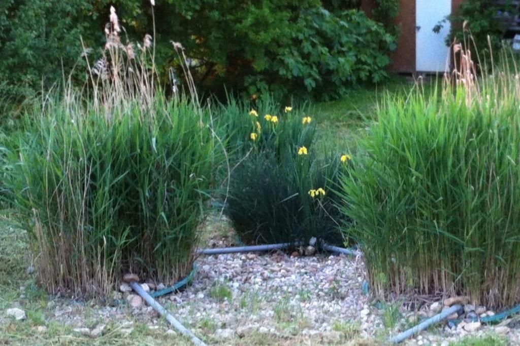 Appartement Neuf & Ecologique A La Campagne Marzens ภายนอก รูปภาพ